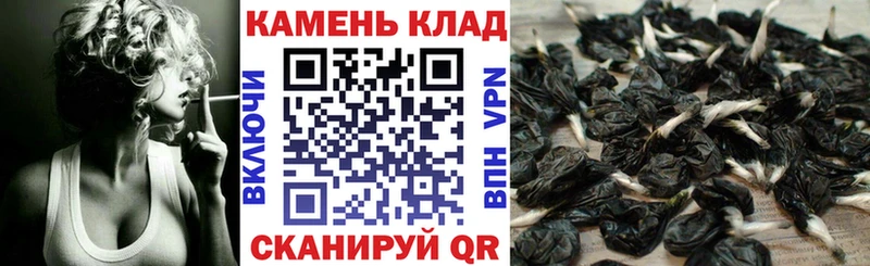 где найти наркотики Вятские Поляны ГАШИШ хэш