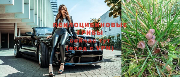прущие крисы Армянск